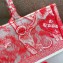Dior Medium Book Tote Bag in Toile de Jouy Transparent Canvas Fluorescent Pink 2022