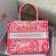 Dior Medium Book Tote Bag in Toile de Jouy Transparent Canvas Fluorescent Pink 2022