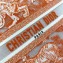 Dior Small Book Tote Bag in Toile de Jouy Transparent Canvas Fluorescent Orange 2022