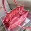 Dior Medium Book Tote Bag in Toile de Jouy Transparent Canvas Fluorescent Pink 2022