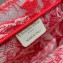 Dior Medium Book Tote Bag in Toile de Jouy Transparent Canvas Fluorescent Pink 2022