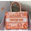 Dior Medium Book Tote Bag in Toile de Jouy Transparent Canvas Fluorescent Orange 2022