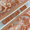 Dior Medium Book Tote Bag in Toile de Jouy Transparent Canvas Fluorescent Orange 2022