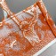 Dior Small Book Tote Bag in Toile de Jouy Transparent Canvas Fluorescent Orange 2022