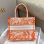 Dior Small Book Tote Bag in Toile de Jouy Transparent Canvas Fluorescent Orange 2022