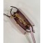 Fendi padded nappa leather Peekaboo ISeeU Micro Bag Pink 2022
