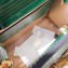 Gucci Diana lizard mini Top Handle bag 675800 Dark Green 2022