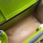 Gucci Diana lizard mini Top Handle bag 675800 Grass Green 2022