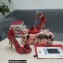 Dolce & Gabbana DG Logo Heel 10.5cm Black Red Roses Sandals Red 2022