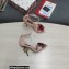 Dolce & Gabbana DG Logo Heel 10.5cm Black Red Roses Sandals Nude Pink 2022
