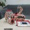 Dolce & Gabbana DG Logo Heel 10.5cm Black Red Roses Sandals Nude Pink 2022