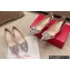 Roger Vivier Heel 4.5cm/8.5cm Flower Strass Buckle Pumps Mirror Silver