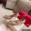 Roger Vivier Heel 4.5cm/8.5cm Flower Strass Buckle Pumps Satin Nude