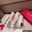 Roger Vivier Heel 2.5cm/4.5cm Belle Vivier Metal Buckle Mules in Leather Silver