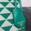 Prada Symbole jacquard fabric micro bag 1BA355 Green 2022