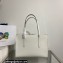 Prada Re-Edition 1995 brushed-leather medium handbag 1BA350 White 2022