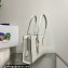 Prada Re-Edition 1995 brushed-leather medium handbag 1BA350 White 2022