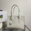 Prada Re-Edition 1995 brushed-leather medium handbag 1BA350 White 2022