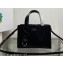 Prada Re-Edition 1995 brushed-leather mini handbag 1BA357 Black 2022
