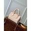 Louis Vuitton Sprayed and embossed grained cowhide leather Speedy Bandoulière 20 Bag M46163 Pale Beige