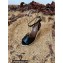 Saint Laurent Paloma Wedge Espadrilles In Smooth Leather Black 2022