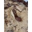 Saint Laurent Paloma Wedge Espadrilles In Smooth Leather Brown 2022