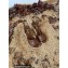 Saint Laurent Paloma Wedge Espadrilles In Smooth Leather Brown 2022