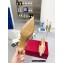 Valentino Heel 4.5cm Crystal VLogo Signature rhinestone slingback pumps Gold 2022