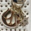 Lady Dior Mini Bag in Latte Lucky Star Cannage Lambskin 2022