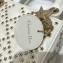 Lady Dior Mini Bag in Latte Lucky Star Cannage Lambskin 2022