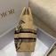 Dior Small Catherine Tote Bag in Beige Jute Canvas Embroidered with Dior Union Motif 2022