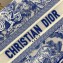 Dior Medium Book Tote Bag in Toile de Jouy Transparent Canvas Fluorescent Blue 2022