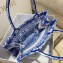Dior Medium Book Tote Bag in Toile de Jouy Transparent Canvas Fluorescent Blue 2022