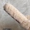 Gucci Interlocking G shearling flat slippers Beige 2022