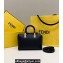 Fendi By The Way Mini Boston Bag Black with rigid plexiglass handles 2022