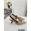 Dior Heel 6.5cm J'Adior Slingback Pumps in Beige Embroidered Jute Canvas 2022