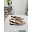 Dior J'Adior Slingback Ballerina Flats in Beige Embroidered Jute Canvas 2022