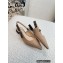 Dior J'Adior Slingback Ballerina Flats in Beige Embroidered Jute Canvas 2022
