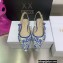 Dior J'Adior Slingback Ballerina Flats in Bright Blue Toile de Jouy Embroidered Cotton 2022