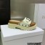 Dior Diorquake Strap Slides Sandals in Calfskin White 2022