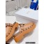 Dior Diorquake Clog in Calfskin Brown 2022