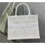 Dior Medium Book Tote Bag in Natural Macramé-Effect Embroidery 2022