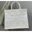 Dior Large Book Tote Bag in Natural Macramé-Effect Embroidery 2022