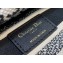 Lady Dior Small D-Lite Bag in Houndstooth Embroidery Black 2022