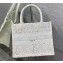 Dior Small Book Tote Bag in Natural Macramé-Effect Embroidery 2022