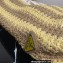 Prada Large raffia tote bag 1BG392 Yellow/Beige 2022
