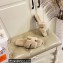 Hermes Woolskin with iconic "H" Oran Sandals Beige