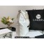 Chanel Calfskin CHANEL 22 Small Handbag AS3260 White/Lacquered Metal 2022