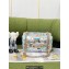 Chanel Acrylic and Crystals Mini 2.55 Handbag AS0874 2022