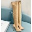 Casadei Heel 12cm Blade Leather over-the-knee boots Suede Beige 2022